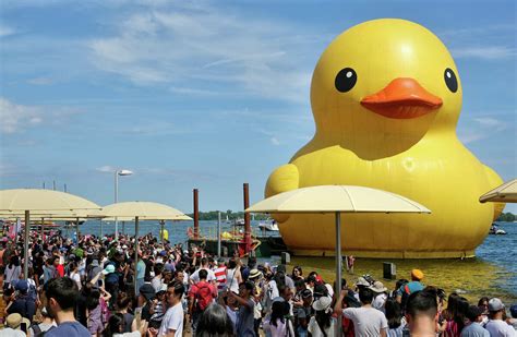 Woman campaigns to get the 'World's Largest Rubber Duck' to St. Louis